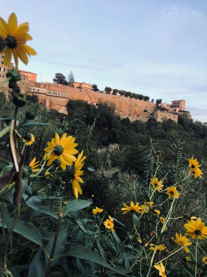 Apartamento Il Girasole Storico Pitigliano Exterior foto
